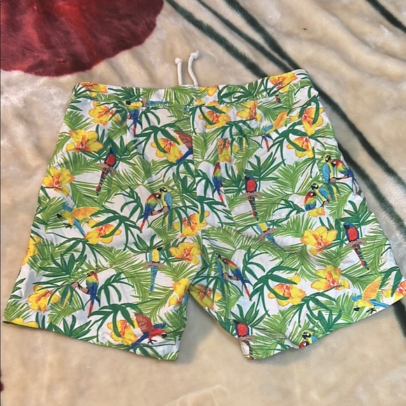 Tropical Parrot Print Shorts - Picture 2 of 2